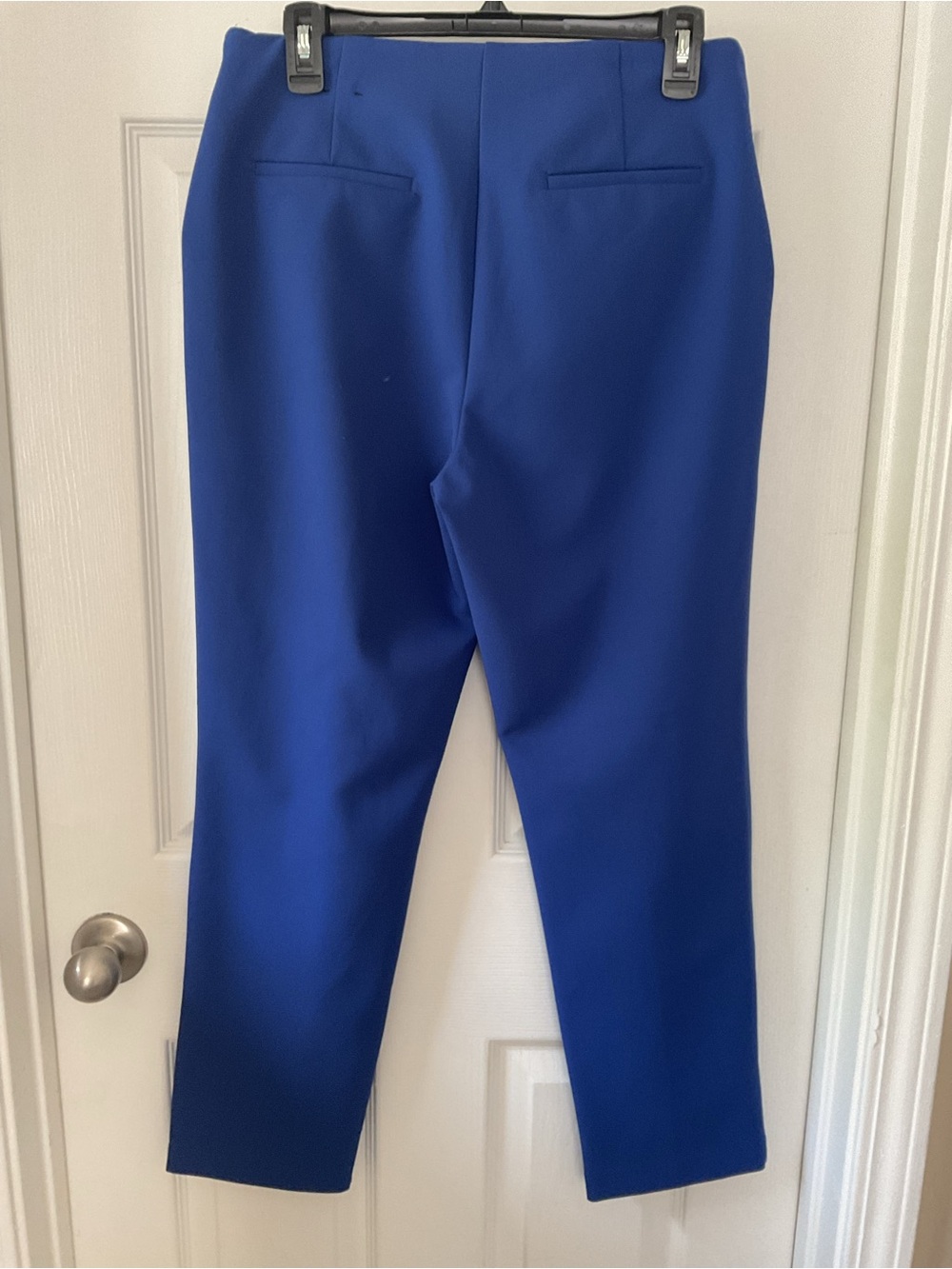 Rachel Zoe Women’s Size 6 Royal Blue Straight Leg Dress Pants Stretch - Picture 4 of 12